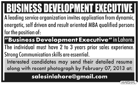 Business Development Executive Job in a Services Organization
