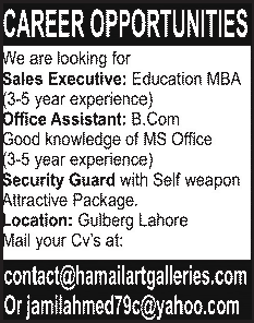 Hamail Art Galleries Lahore Jobs for Sales Executive, Office Assistant & Security Guard