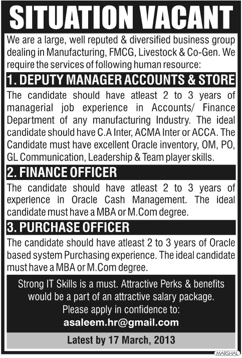 Deputy Manager Accounts & Stores, Finance Officer & Purchase Officer Jobs