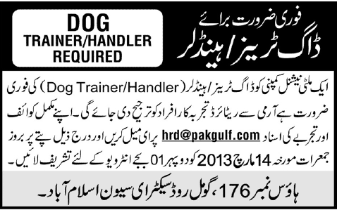 Dog Trainer / Handler Job in a Multinational Company