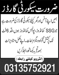 Security Guards Jobs for Office & Home