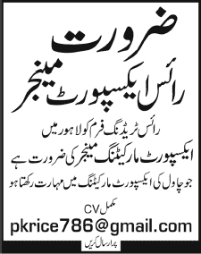Rice Export Manager Job in Lahore 2013 at a Rice Trading Firm