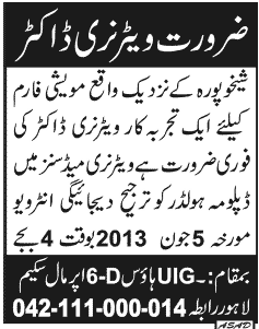 Veterinary Doctor Jobs in Sheikhupura 2013 June at a Cattle Farm