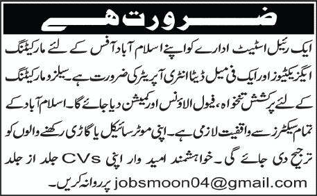 Marketing Executive & Data Entry Operator Jobs in Islamabad 2013 December at Real Estate Company