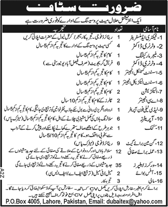 Anis Associates (Pvt) Ltd. Jobs 2014 May / June for Meat Processing Unit