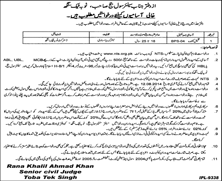 NTS Civil & Session Court Toba Tek Singh Jobs 2014 July for Process Server