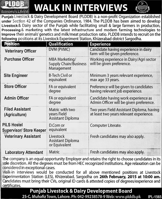 Punjab Livestock & Dairy Development Board Jobs 2015 February PLDDB Walk in Interviews