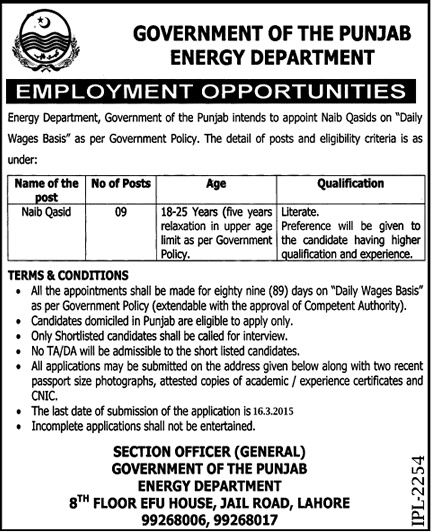 Naib Qasid Jobs in Energy Department Lahore Jobs 2015 February / March Government of Punjab Latest