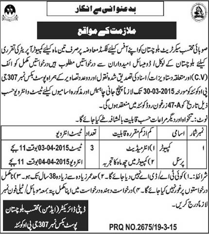 Computer Operator Jobs in Provincial Ombudsman Secretariat Balochistan 2015 March Latest