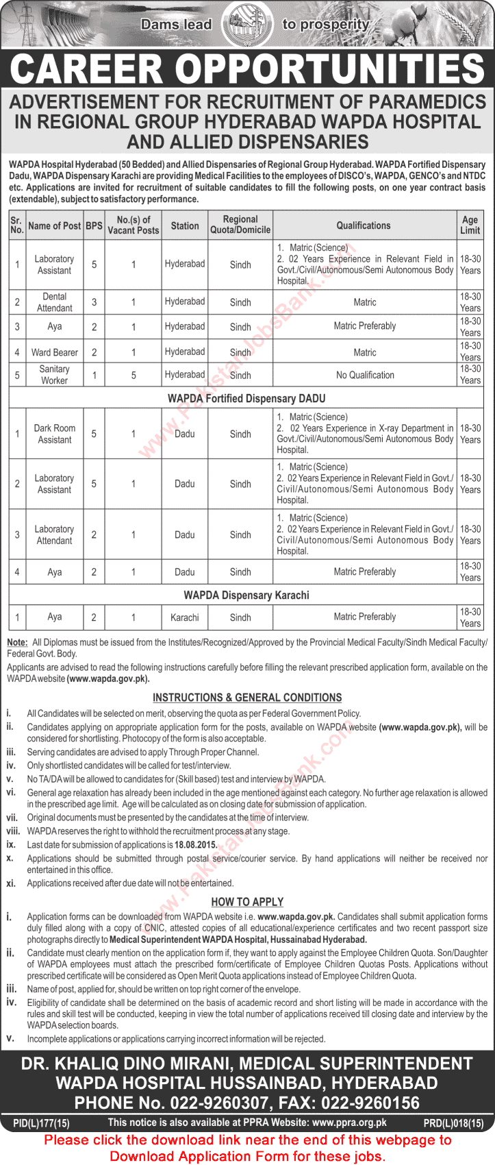 WAPDA Hospital & Dispensaries Hyderabad / Dadu / Karachi Jobs 2015 July Application Form