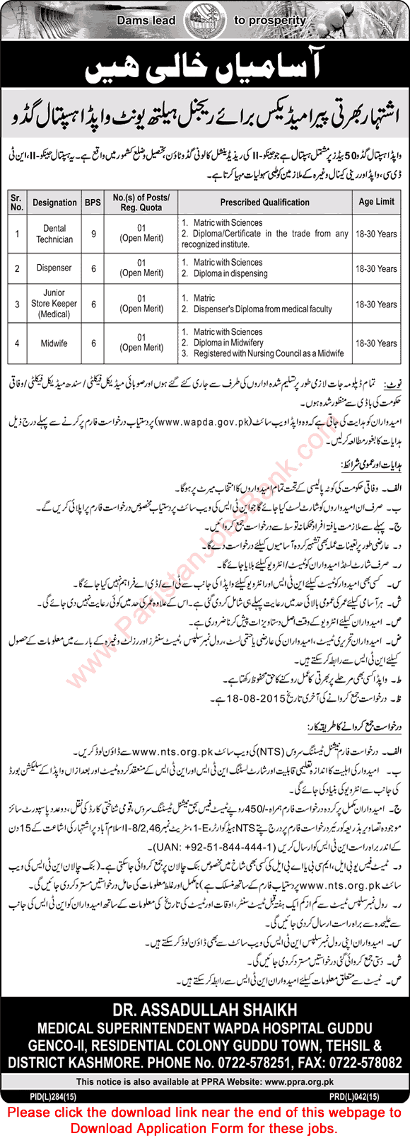 WAPDA Hospital Guddu Sindh Jobs 2015 July / August NTS Application Form Paramedical Staff