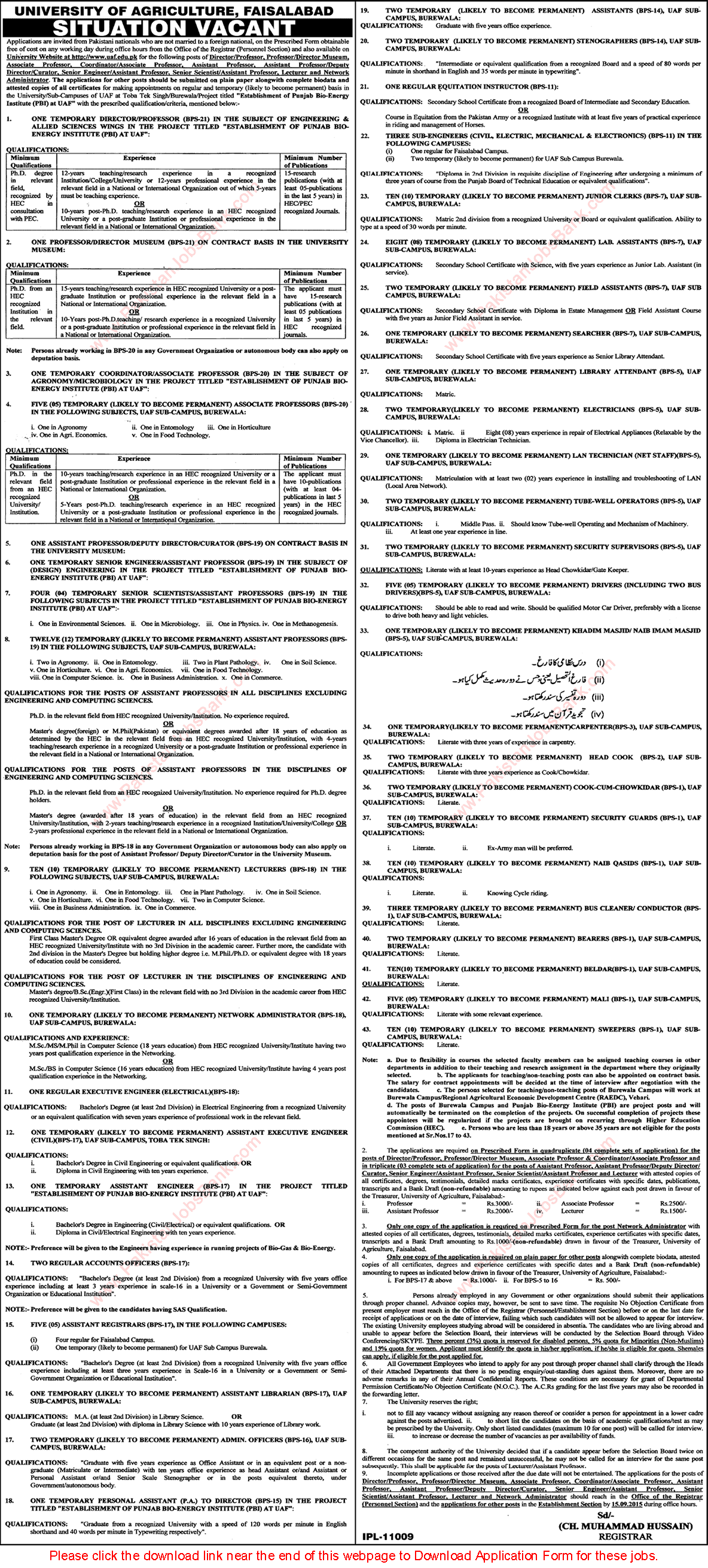 University of Agriculture Faisalabad Jobs 2015 August Application Form Teaching Faculty & Admin Staff