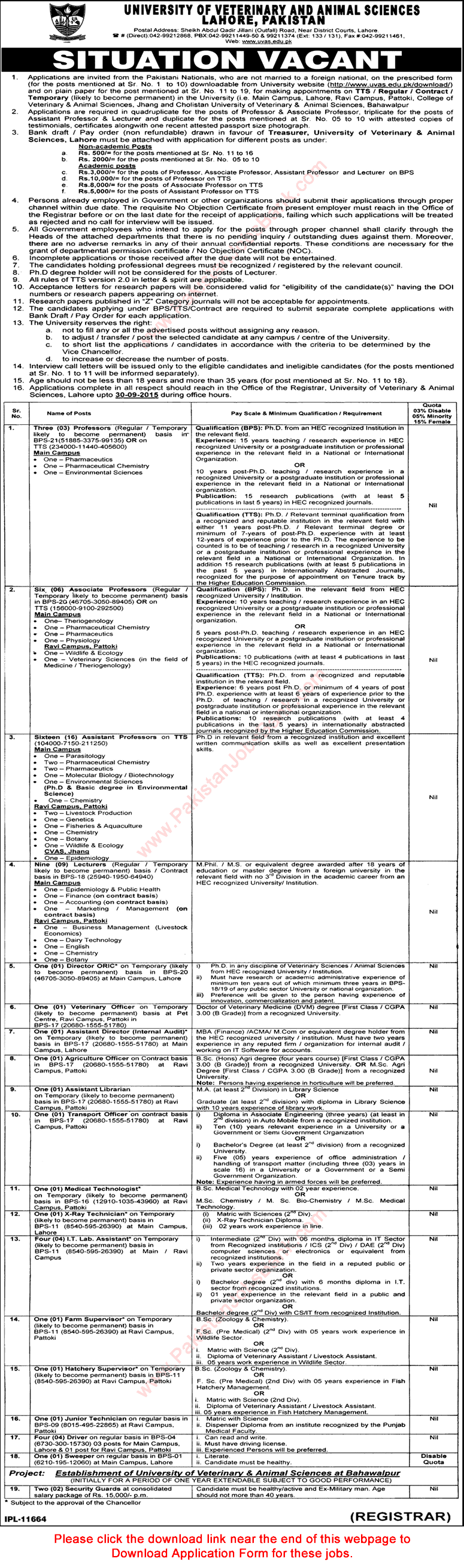 University of Veterinary and Animal Sciences Lahore Jobs 2015 September UVAS Application Form Latest