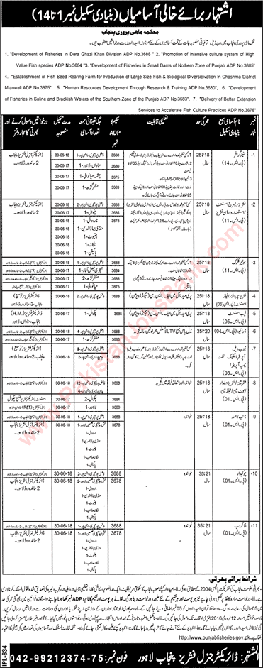 Fisheries Department Punjab Jobs 2016 Stenographers, Clerks, Fisheries Assistants, Naib Qasid & Others Latest