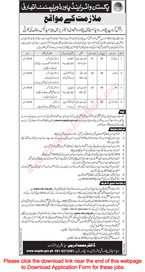 WAPDA Hospital Peshawar Jobs 2016 February NTS Application Form Download Latest