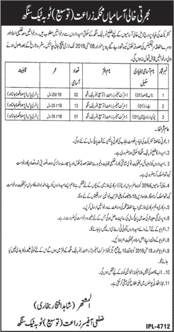 Agriculture Department Toba Tek Singh Jobs 2016 April Baildar, Naib Qasid & Chowkidar Latest