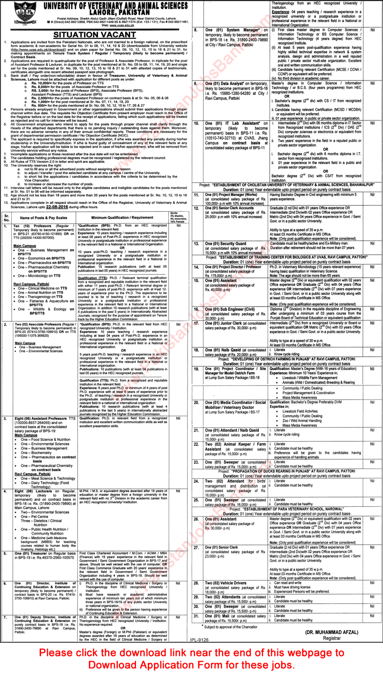 University of Veterinary and Animal Sciences Lahore Jobs July 2016 August UVAS Application Form Download Latest