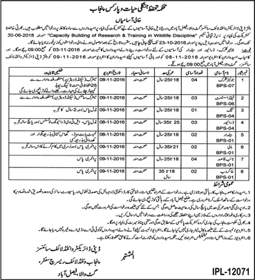 Wildlife Research Center Faisalabad Jobs 2016 October Clerks, Field Assistants, Naib Qasid, Driver & Others Latest