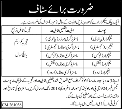 Lecturer Jobs in PO Box 924 GPO Rawalpindi 2018 January Public Sector Organization Latest