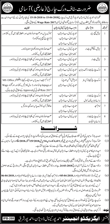 Irrigation Department Ahmed Pur Sharqia Jobs 2018 March Baildar, Computer Operator & Others Latest