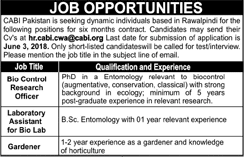CABI Pakistan Rawalpindi Jobs 2018 May Lab Assistant, Research Officer & Gardener Latest