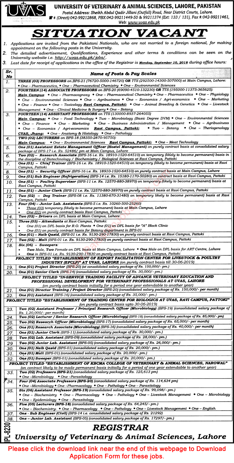 University of Veterinary and Animal Sciences Jobs August 2018 UVAS Application Form Latest