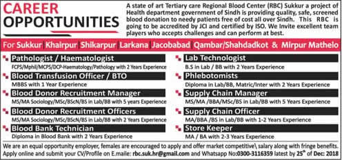 Regional Blood Center (RBC) Sukkur Jobs December 2018 Blood Bank Staff Latest