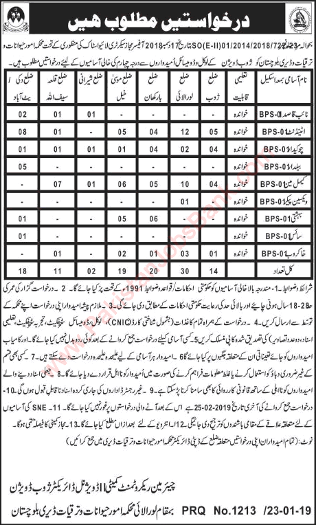 Livestock and Dairy Development Department Balochistan Jobs 2019 Zhob Attendants, Camel Man & Others Latest