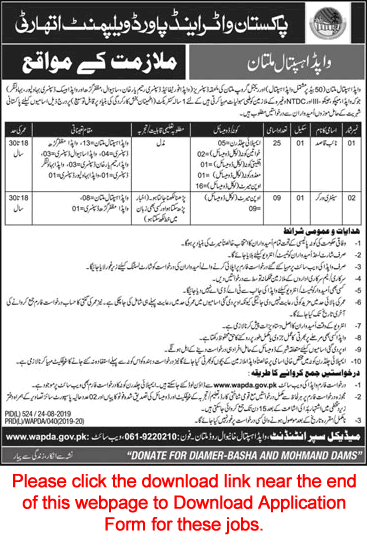 WAPDA Hospital Multan & Allied Dispensaries Jobs August 2019 Application Form Naib Qasid & Sanitary Workers Latest