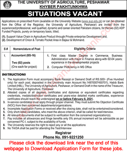 Accountant Jobs in University of Agriculture Peshawar 2021 Application Form Latest
