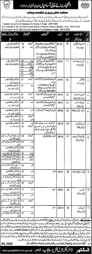 Fisheries Department Punjab Jobs June 2021 Fieldman, Fisheries Baildar & Others Latest