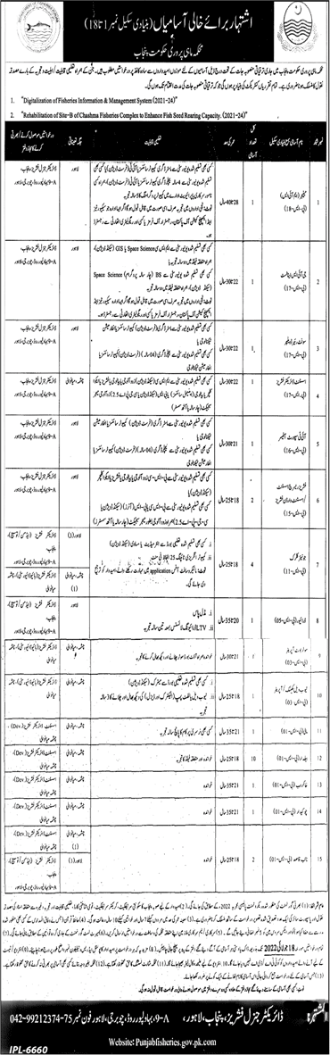 Fisheries Department Punjab Jobs 2022 June Baildar, Clerks & Others Latest