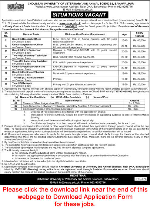 CUVAS Bahawalpur Jobs July 2022 Application Form Cholistan University of Veterinary and Animal Sciences Latest