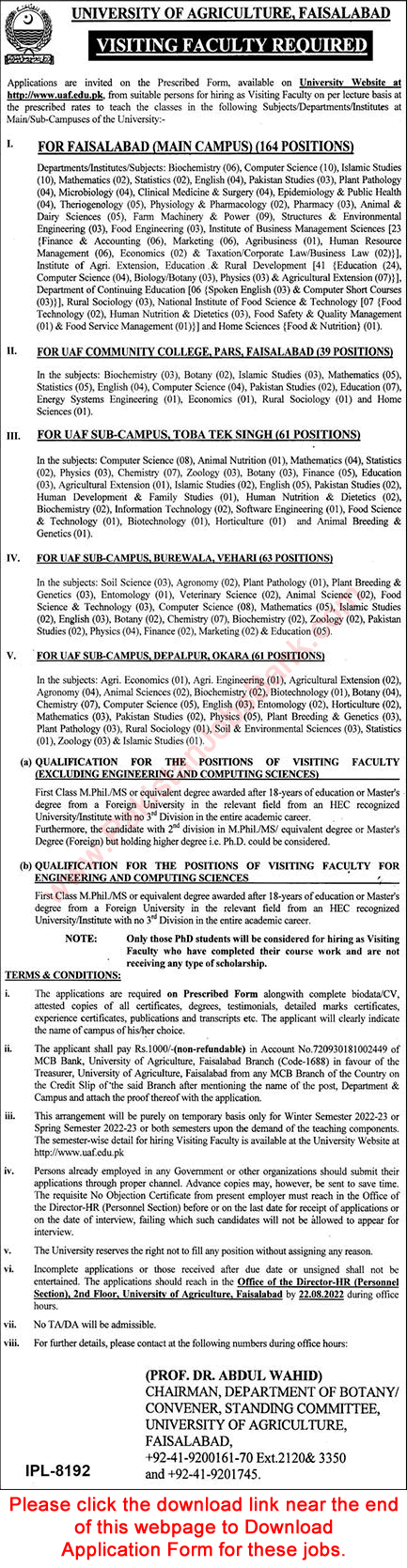 Visiting Faculty Jobs in University of Agriculture Faisalabad August 2022 UAF Application Form Latest