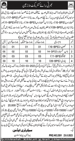 Revenue Department Balochistan Jobs 2023 February Patwari, Kanungo & Others Latest