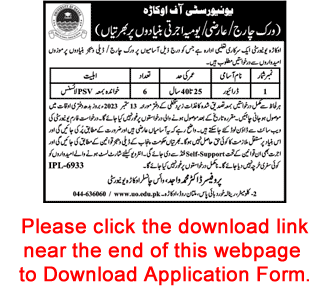 Driver Jobs in University of Okara 2023 September Application Form Latest