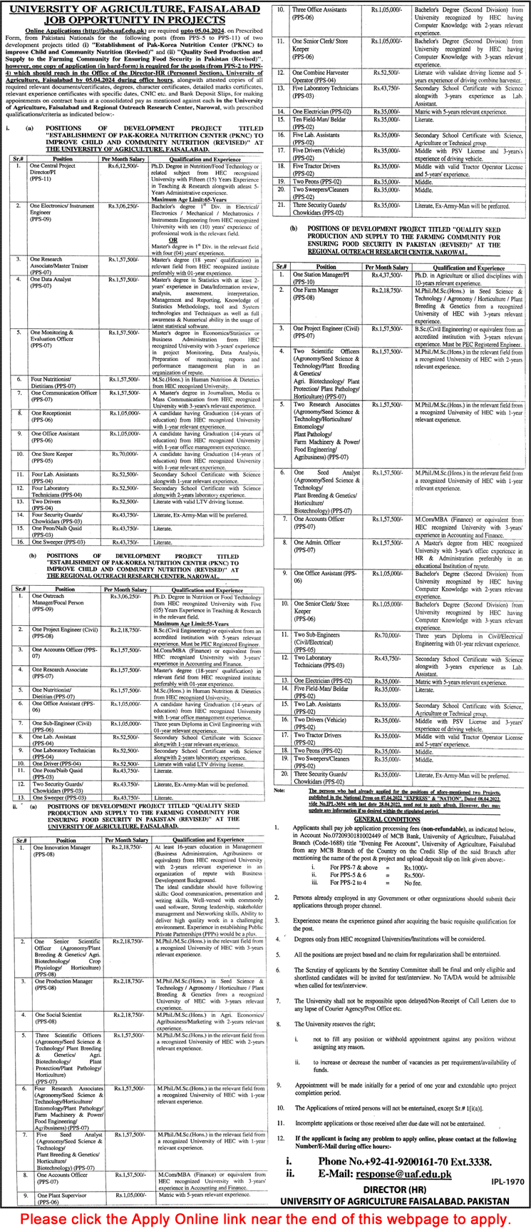 University of Agriculture Faisalabad Jobs March 2024 UAF Online Apply Latest