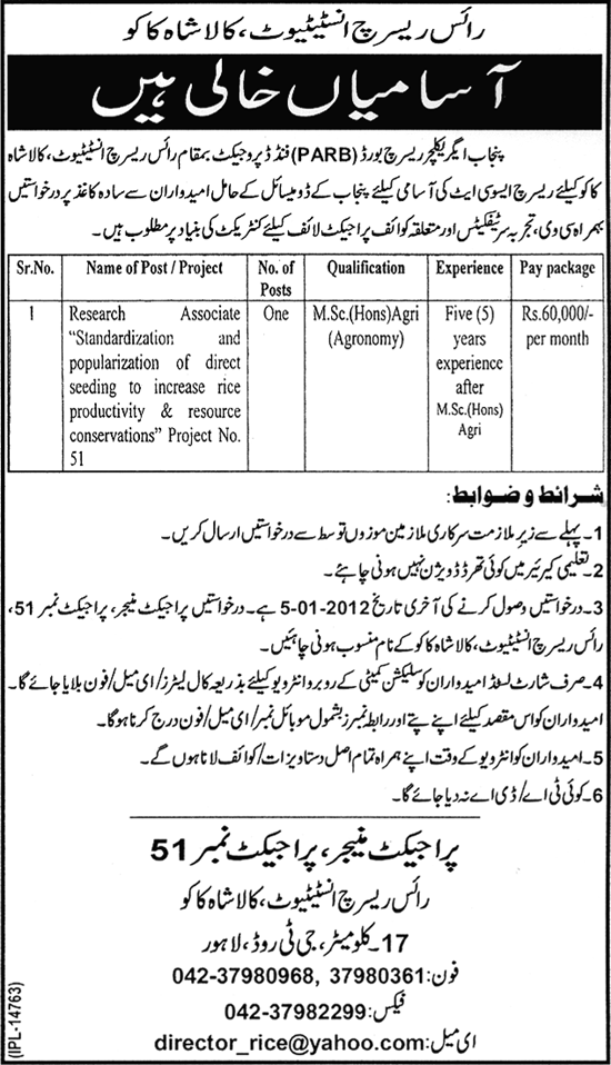 Rice Research Institute Kala Shah Kaku Job Opportunities