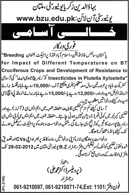 Bahauddin Zakariya University Multan Required Research Associate