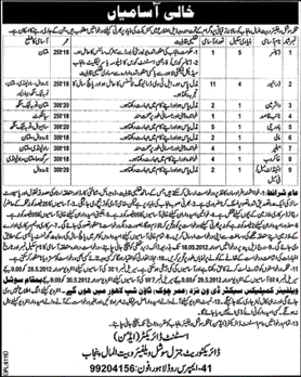 Jobs at Bait-ul-Maal Punjab