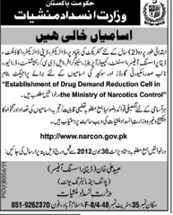 Directors, I.T and Support Staff Required at Ministry of Narcotics Control (Govt. job)