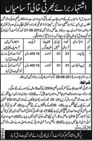 Lab Attendant and Chowkidar Jobs at Government Degree College for Women