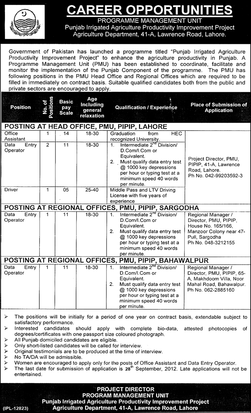 PIPIP Requires Data Entry Operators Under Government Punjab (Government Job)