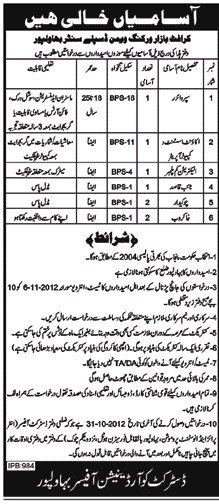 Jobs in Craft Bazar Working Woman Display Center Bahawalpur