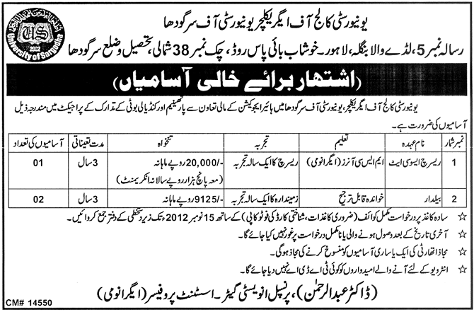 UCA, University of Sargodha Requires Research Associate & Baildar