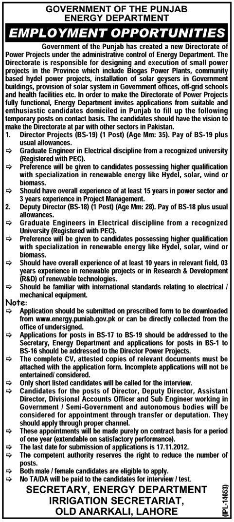 Energy Department, Government of Punjab Requires Director Project & Deputy Director