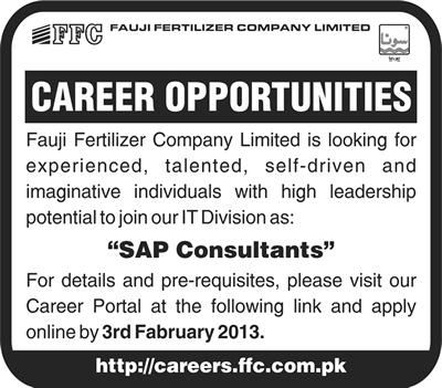 FFC Jobs 2013 for SAP Consultants