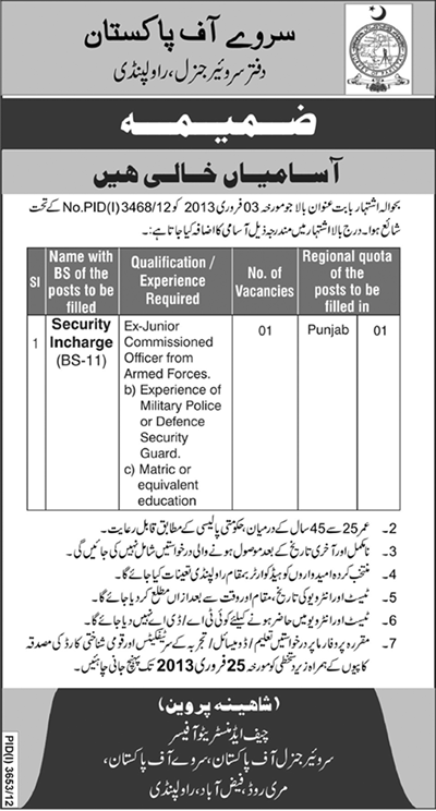 Addendum: Survey of Pakistan Jobs 2013