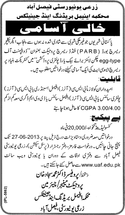 Agriculture University Faisalabad Jobs 2013 June Research Associates at Department of Animal Breeding & Genetics