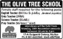 Female Teaching Jobs in Multan 2013 November at Olive Tree School Latest